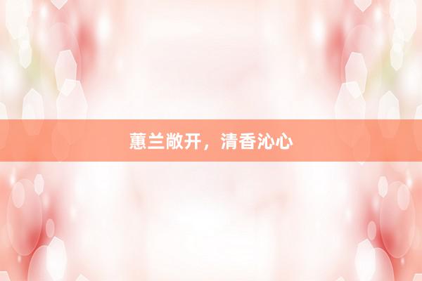 蕙兰敞开，清香沁心