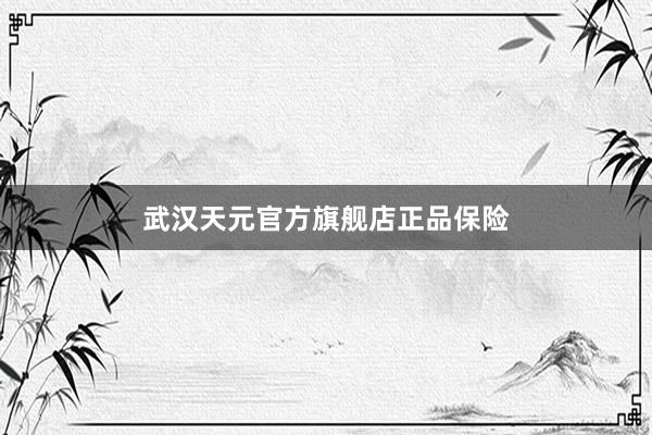 武汉天元官方旗舰店正品保险